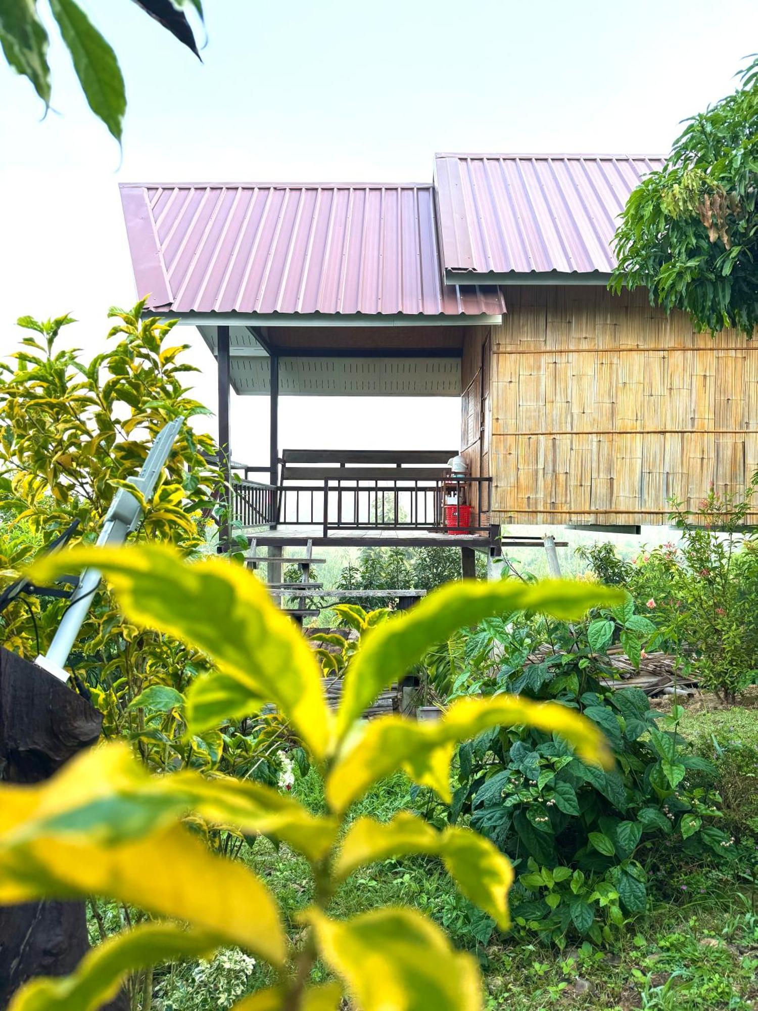Doicherngngam Home Stay Чианг Дао Экстерьер фото
